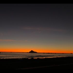 Meet your Posher, Zoey